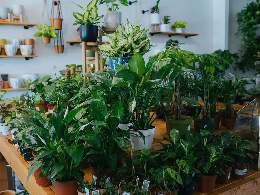 京都店 ブログ2