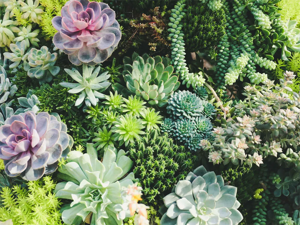 京都店 ブログ3